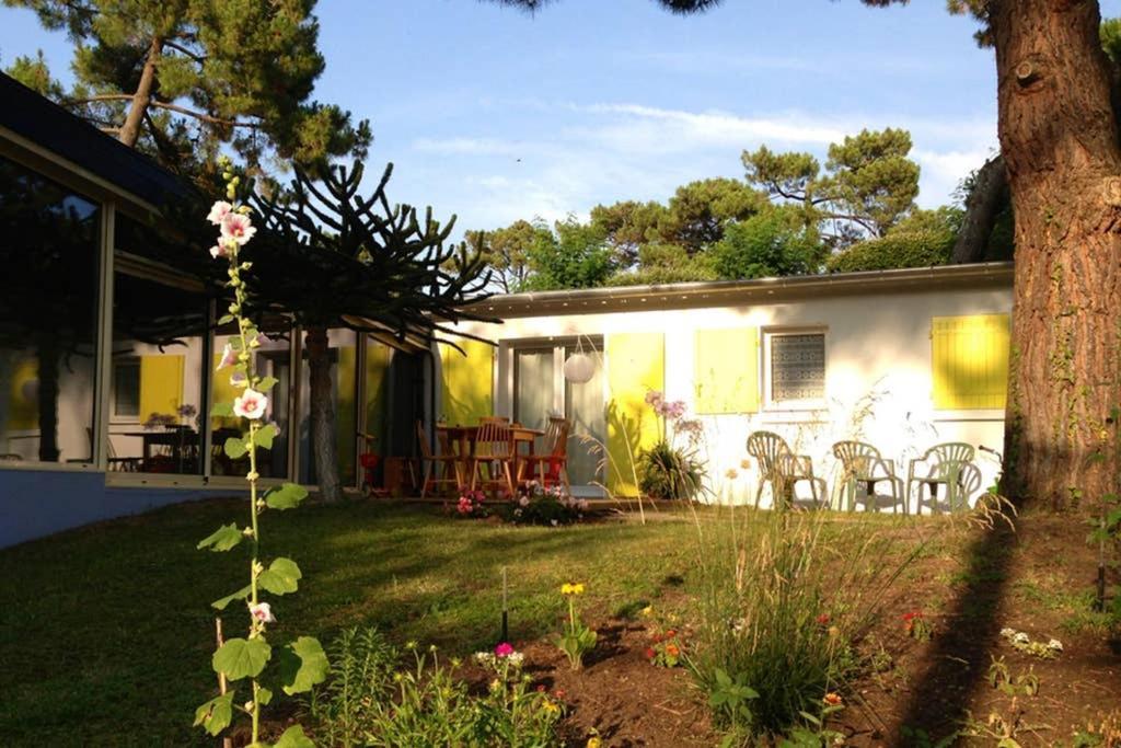 Villa Clair Accueil Saint-Georges-de-Didonne Dış mekan fotoğraf